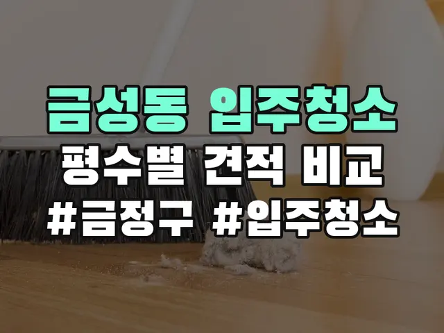 금성동 입주청소