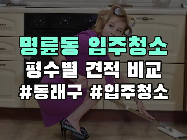 명륜동 입주청소
