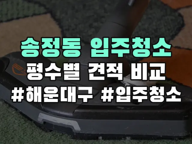 송정동 입주청소